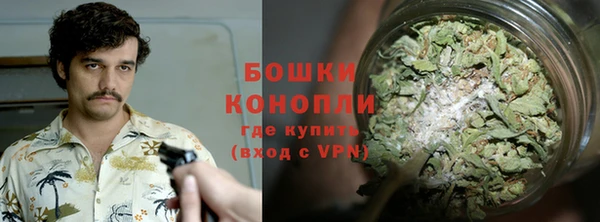 дживик Абаза