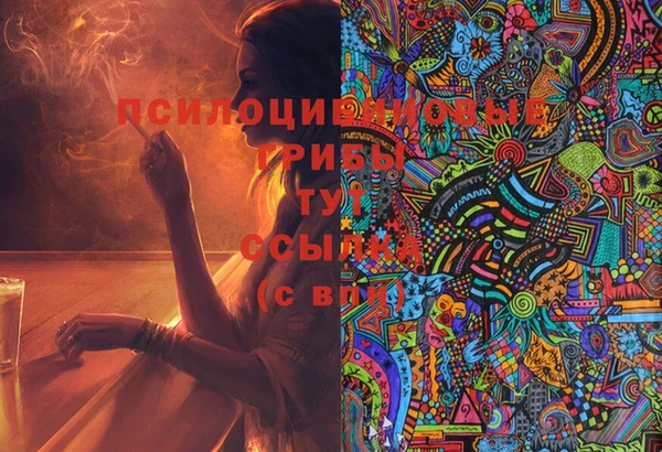 ALPHA-PVP Новодвинск